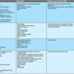 fiche_4.2.3b-2.png